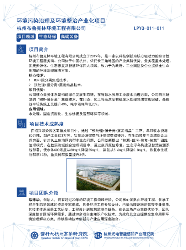 布鲁.png